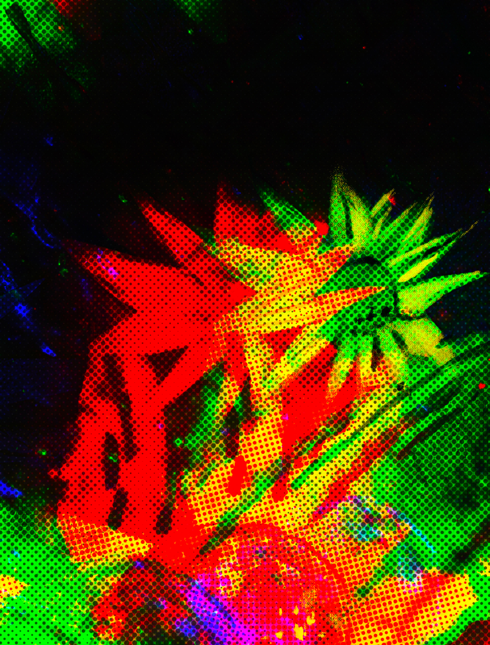 Neotropica collection for interior design