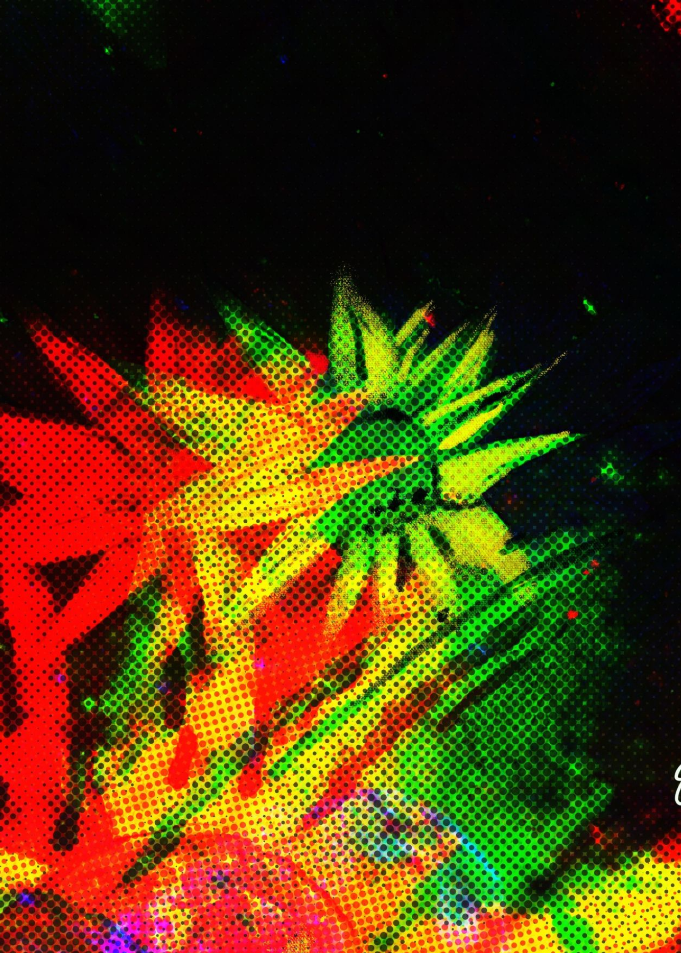 Neotropica collection for interior design