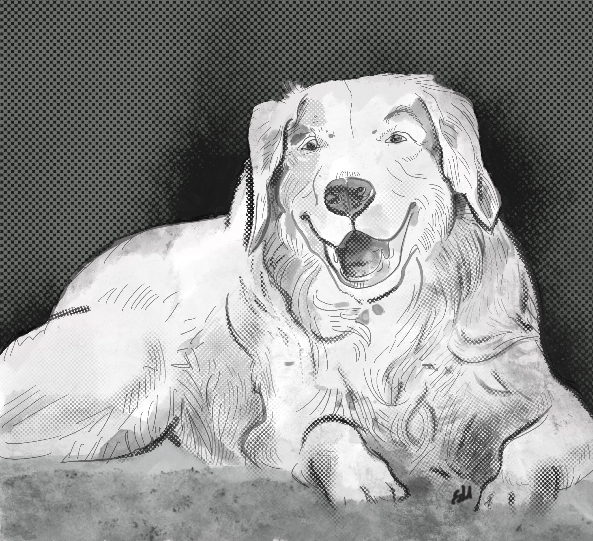 pub portrait & sketch - pet portrait of a dog